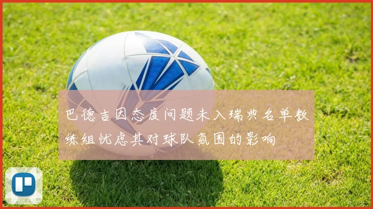 巴德吉因态度问题未入瑞典名单教练组忧虑其对球队氛围的影响