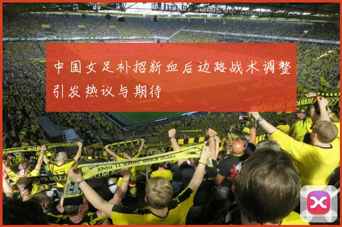 中国女足补招新血后边路战术调整引发热议与期待